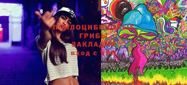 а пвп мука Армянск