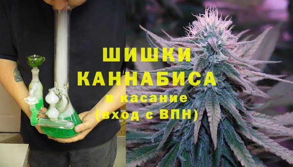 PSILOCYBIN Нея